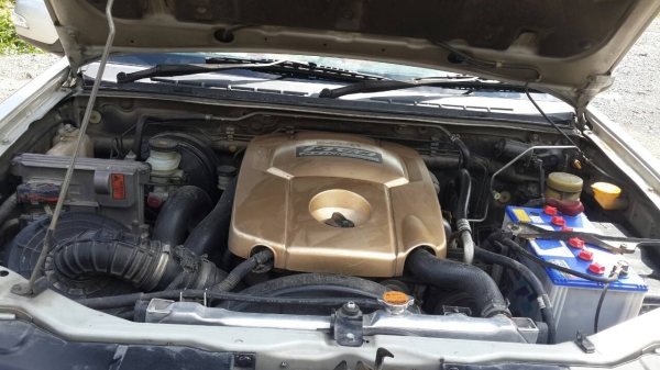 d max ปี06 d max ปี06