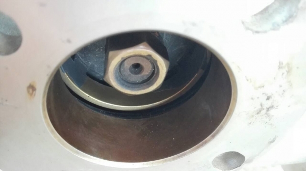 Sale>> ปั้มน้ำหอยโข่งสแตนเลส TECO 3 HP. 380V. 2850 RPM. ใบพัดทองเหลือง สภาพสวยสดใหม่ 089-2499-123(Line)