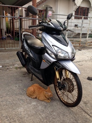 HONDA CLICK ลูกคาเซ่ ชัก 3 mm