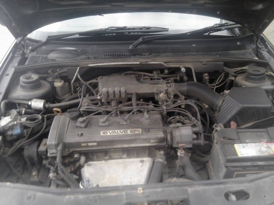 Volk Golff MK 3 รถโฟร์คกอล์ฟ 3 varient 5 ประตู Volk Golff MK 3 รถโฟร์คกอล์ฟ 3 varient 5 ประตู