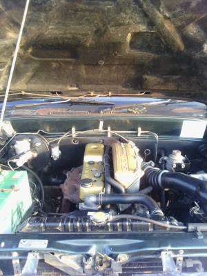 อีสุหัวเดียว