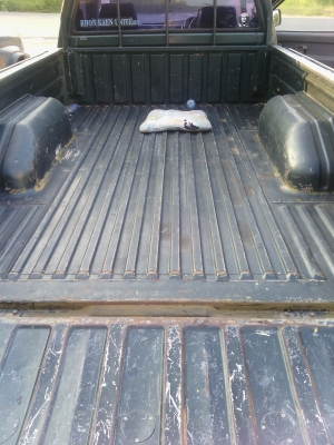 อีสุหัวเดียว