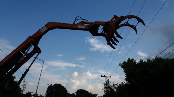 ขายคีบ ขายคีบ