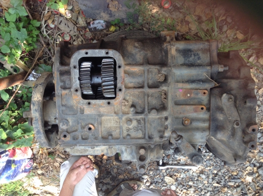 เกียร์ตาราง  m8-3 หัวหมู15. ใส่527S m5 m6