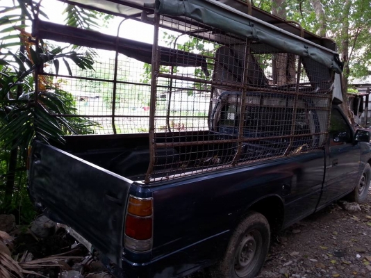 กระบะ อีซูซุ หัวเดียว ปี 97 เครื่อง 2500 สีน้ำเงิน ไม่มีเว่อร์ค่ะ กระบะ อีซูซุ หัวเดียว ปี 97 เครื่อง 2500 สีน้ำเงิน ไม่มีเว่อร์ค่ะ