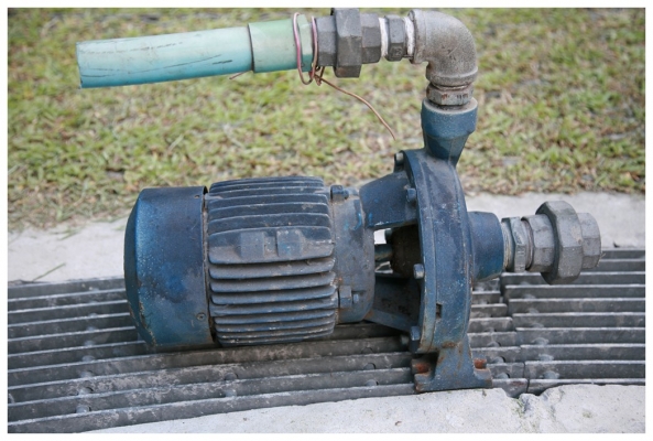 ปั๊มน้า Made in Italy