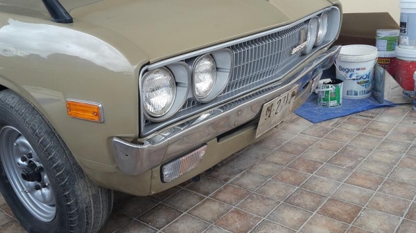 ขาขดัทสัน ช้างเหยียบ ขาขดัทสัน ช้างเหยียบ