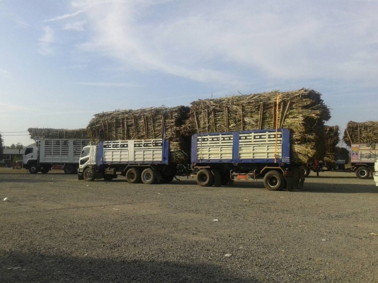 ขายรถสิบล้อพ่วง ไอ้หลงเทอร์โบ527 ขายรถสิบล้อพ่วง ไอ้หลงเทอร์โบ527