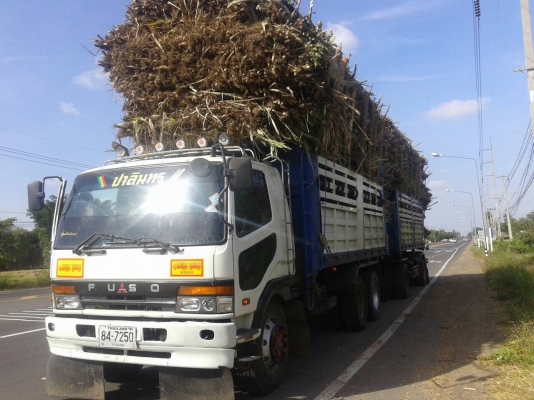 ขายรถสิบล้อพ่วง ไอ้หลงเทอร์โบ527 ขายรถสิบล้อพ่วง ไอ้หลงเทอร์โบ527