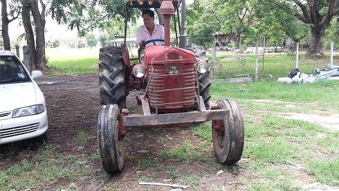 ขายรถไถ แมสซี่ โบราณ ขายรถไถ แมสซี่ โบราณ