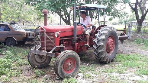 ขายรถไถ แมสซี่ โบราณ