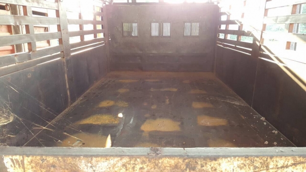 ขาย 6 ล้อดั้ม คอกสูง HINO KL300 เครื่อง EH100 150 แรงม้า เฟืองท้าย ZM สโลว์อินเตอร์ พวงมาลัยพาวเวอร์ คัสซีสวยตลอดเส้น ทะเบียนครบพร้อมโอนครับ ขาย 6 ล้อดั้ม คอกสูง HINO KL300 เครื่อง EH100 150 แรงม้า เฟืองท้าย ZM สโลว์อินเตอร์ พวงมาลัยพาวเวอร์ คัสซีสวยตลอดเส้น ทะเบียนครบพร้อมโอนครับ