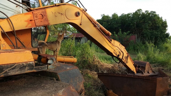 ขายแบคโฮ ขับเคลื่อนล้อยาง HITACHI WH04 สภาพต้องเก็บหน่อย เครื่อง+ปั้มดี ชุดกระบอกไฮดรอริคมีครบ ราคาต่อรองได้ครับ