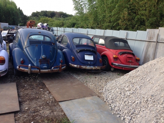 เต่านอกตัดครึ่ง