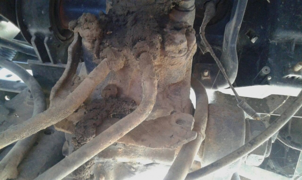 ISUZU  NQR70LY52  ขายตามสภาพ