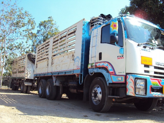 ขายรถพ่วง  ISUZU FVZ 300