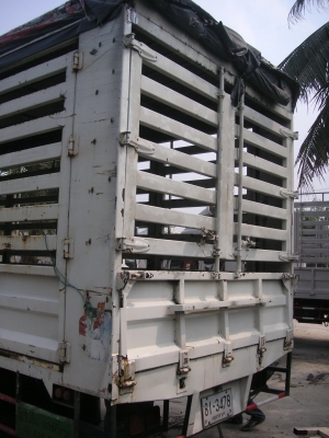 ขายกระบะรถ 6 ล้อ FTR ขายกระบะรถ 6 ล้อ FTR