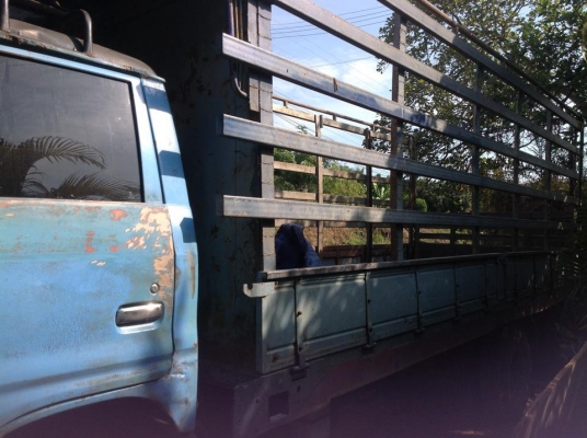 ขายรถ 6 ล้อกลาง