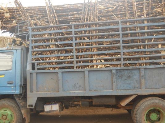 ขาย 6 ล้อ ISUZU NPR 110 (4BD1ฝาดำ) เฟืองท้ายF  มีสโลว์ปลายเกียร์ ยางดี 6 เส้น พร้อมโอน พร้อมใช้