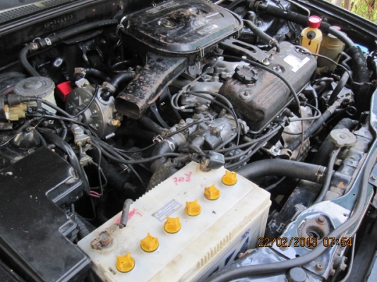 ขาย HONDA ACCORD   สีขาวกับสีดำ