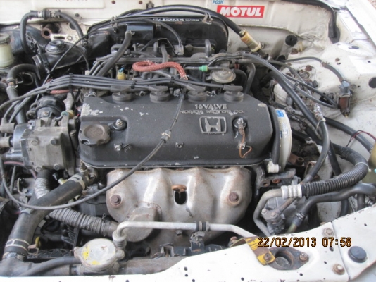 ขาย HONDA ACCORD   สีขาวกับสีดำ