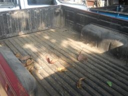 ขาย BIG-M หัวเดี่ยวถูกๆครับ