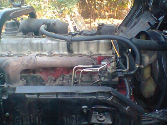 ขายด่วน HINO FB 185 ดั้ม