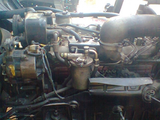 ขายด่วน HINO FB 185 ดั้ม