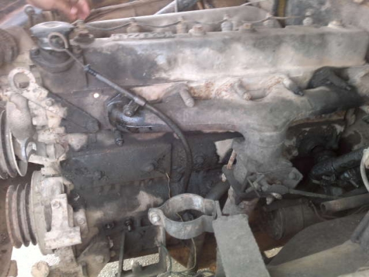 รถอิซูซุ 10 หัวยาวดั๊ม 125 แรงม้า  ( มีขาย 3 คัน ) สนใจติดต่อ 081 - 6079515