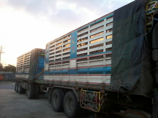 ขายด่วนรถสิบล้อดั้มแม่ลูกเครือง360แรงปี53ลูก3เพลารถสวยเดิม