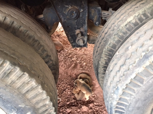 หางลูกพ่วง3คานแท้ปี53..สภาพดี สวย..ไม่ค่อยใช้ จอดไว้ในโกดัง..เล่มพร้อม