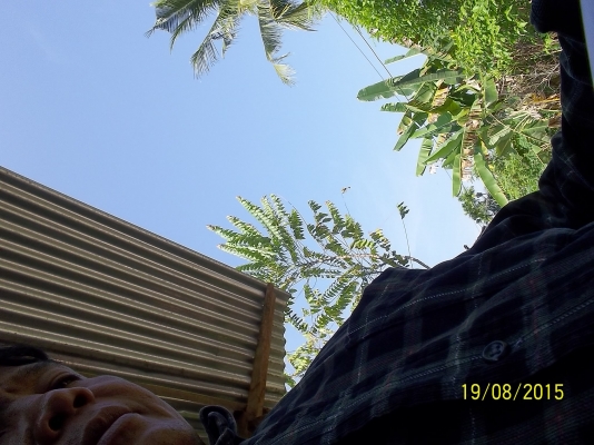 ขายรถ 6 ล้อ  อิซูสุ NKR 58LU  5