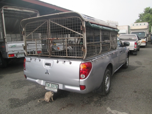 ขาย Mitsubushi Triton 2.4CNG ตอนเดียว ปี10.