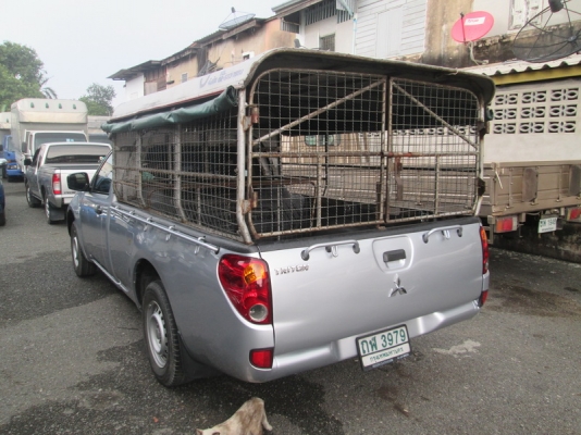 ขาย Mitsubushi Triton 2.4CNG ตอนเดียว ปี10.