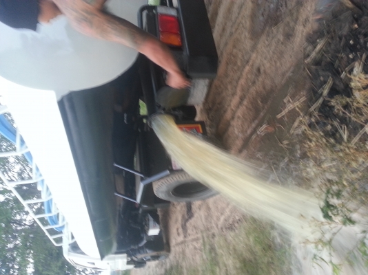 รับต่อถังนำ้  ถังดูดส้วม พร้อมระบบ