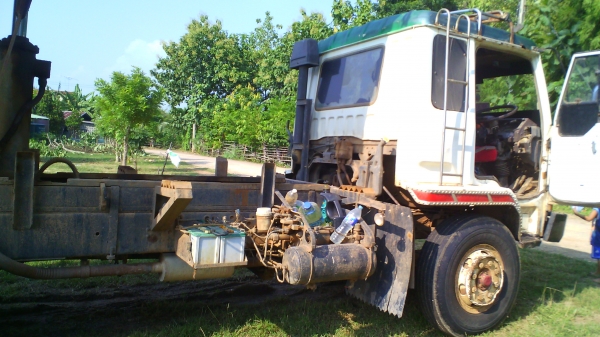 ขายด่วนไอ้หลง ญาติฝากขายครับ