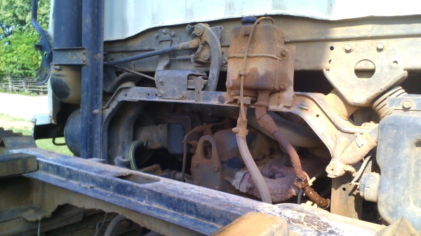 ขายด่วนไอ้หลง ญาติฝากขายครับ