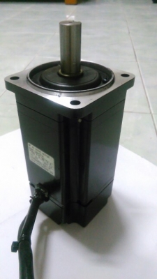 Servo Motor