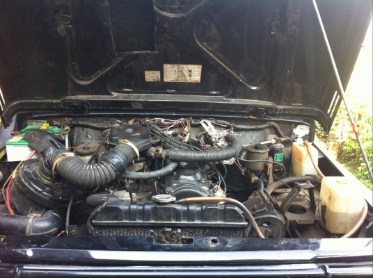 ขายแคริเบียนถูกๆด่วน ขายแคริเบียนถูกๆด่วน