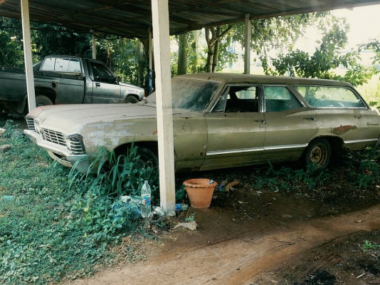 (จองแล้ว)ขาย ซาก เชฟ อิมพารา