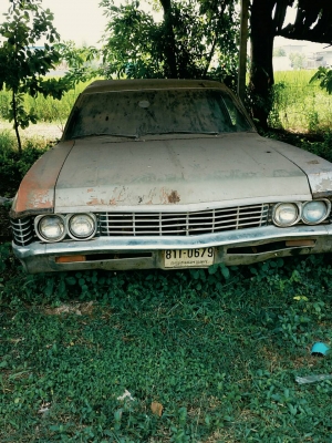 (จองแล้ว)ขาย ซาก เชฟ อิมพารา (จองแล้ว)ขาย ซาก เชฟ อิมพารา