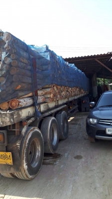 ขายด่วน  หางพื้นเรียบสามเพลา  อุ่รวมทวี  ปี 53  พร้อมใช้งาน เอกสารพร้อม