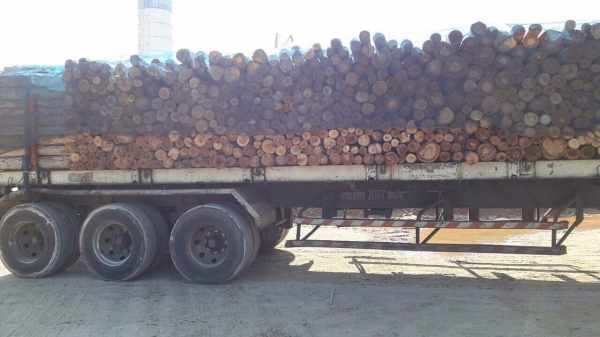 ขายด่วน  หางพื้นเรียบสามเพลา  อุ่รวมทวี  ปี 53  พร้อมใช้งาน เอกสารพร้อม