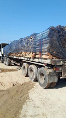 ขายด่วน  หางพื้นเรียบสามเพลา  อุ่รวมทวี  ปี 53  พร้อมใช้งาน เอกสารพร้อม