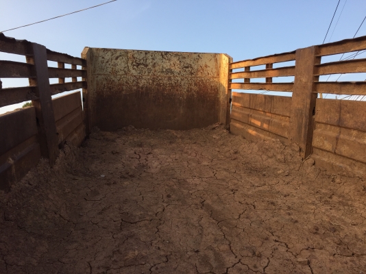 ชุดดั้มยาว5.6เมตรพร้อมทั้งชุด