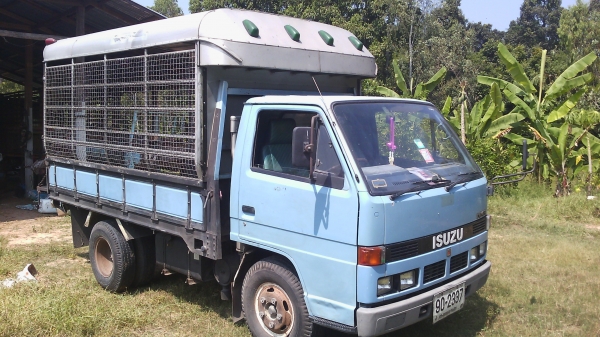 หกล้อ88สวยมาตั้งเแต่เกิด หกล้อ88สวยมาตั้งเแต่เกิด