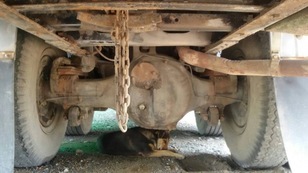 ็HINO.FM.1J.เครื่องJO8C-สภาพสวยพร้อมใช้.