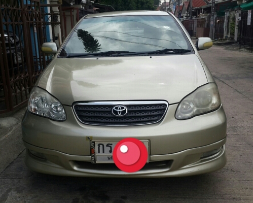 ขายออติส