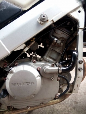 ขายลูกเดียว cbr150 ปี 2546 ราคาเบาๆ มีเล่มเอกสารครบ ขายลูกเดียว cbr150 ปี 2546 ราคาเบาๆ มีเล่มเอกสารครบ