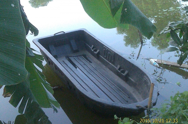 ขายเรือเมกซ์ไลนเนอร์